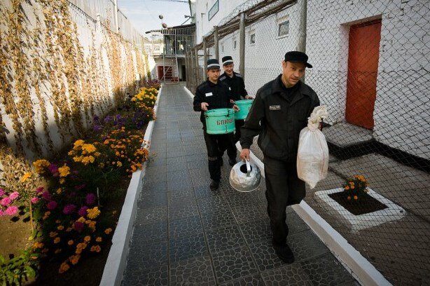 Петухи выносят пищевые отходы. Фото с сайта yaplakal.com