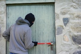 Приехав на дачу под Калугой, москвичи испытали шок