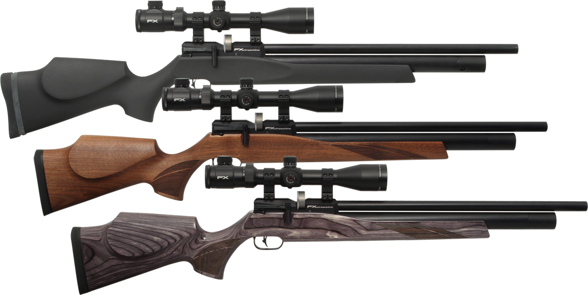 Fx пневматика. PCP FX 5.5mm. Пневматическая винтовка FX. FX Airguns. Мощная винтовка FX.