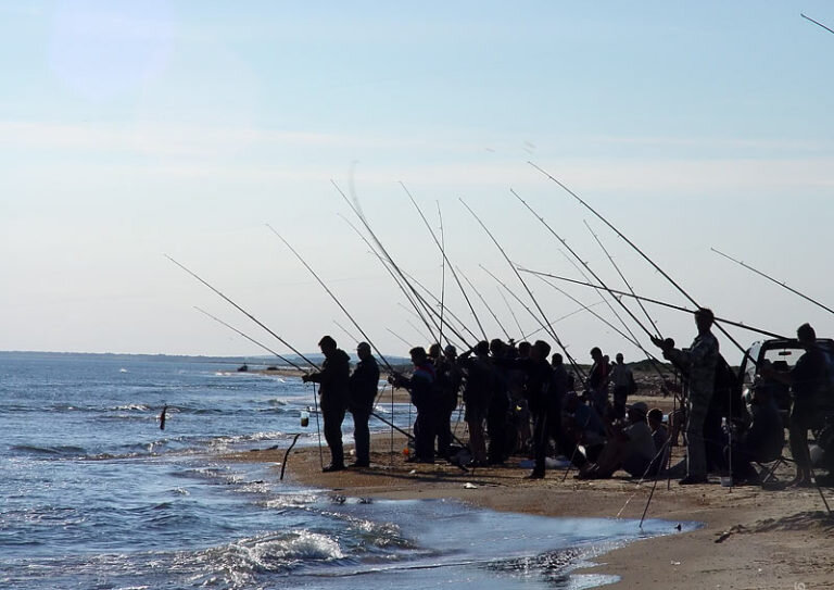 Фото взято из интернета