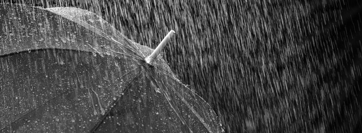 фото из https://www.arcadiaweekly.com/