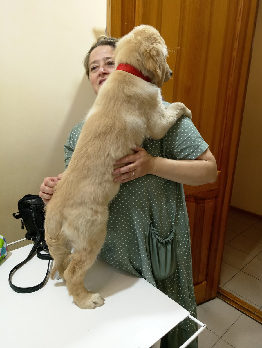 Ляля в ветеринарной клинике на Героев Севастополя-27 (г. Севастополь)