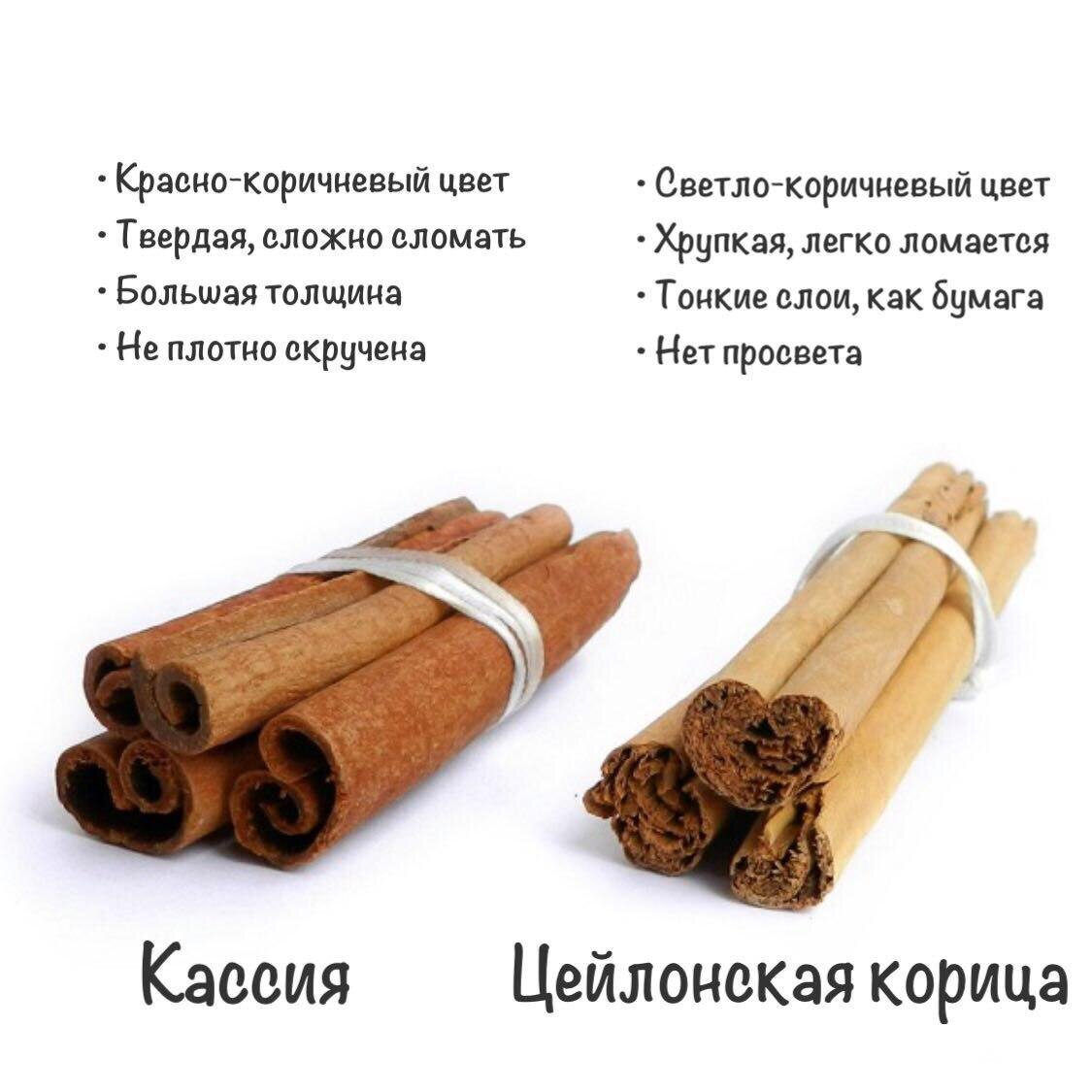 Кассия как отличить