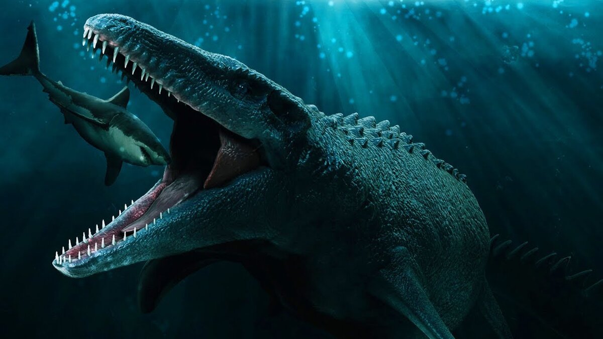 Мозазавр/Mosasaurus.