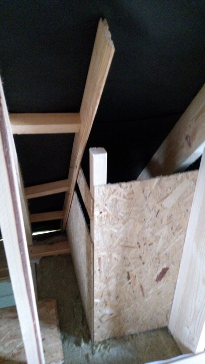 Источник: фото автора