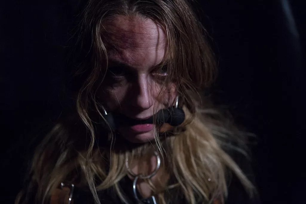 Логово монстра (Bad Samaritan, 2018, триллер)