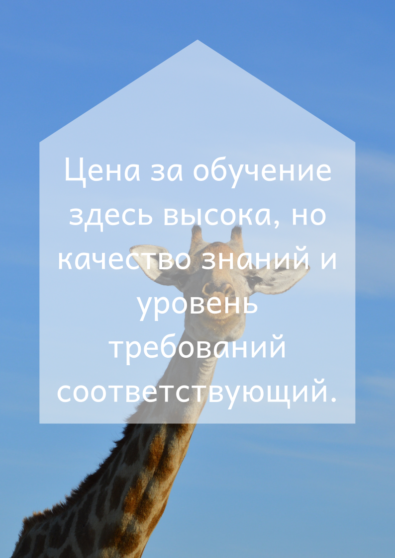 Отзыв про СПбГУП. Цитата.