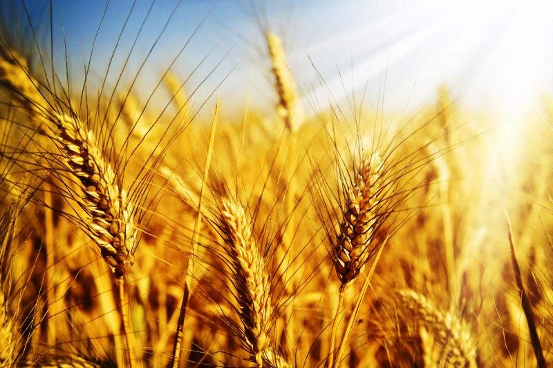 фото взято из открытых источников