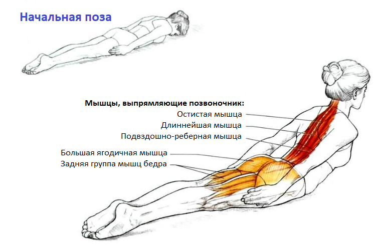 Выполнение упражнения для осанки