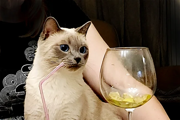 -2
