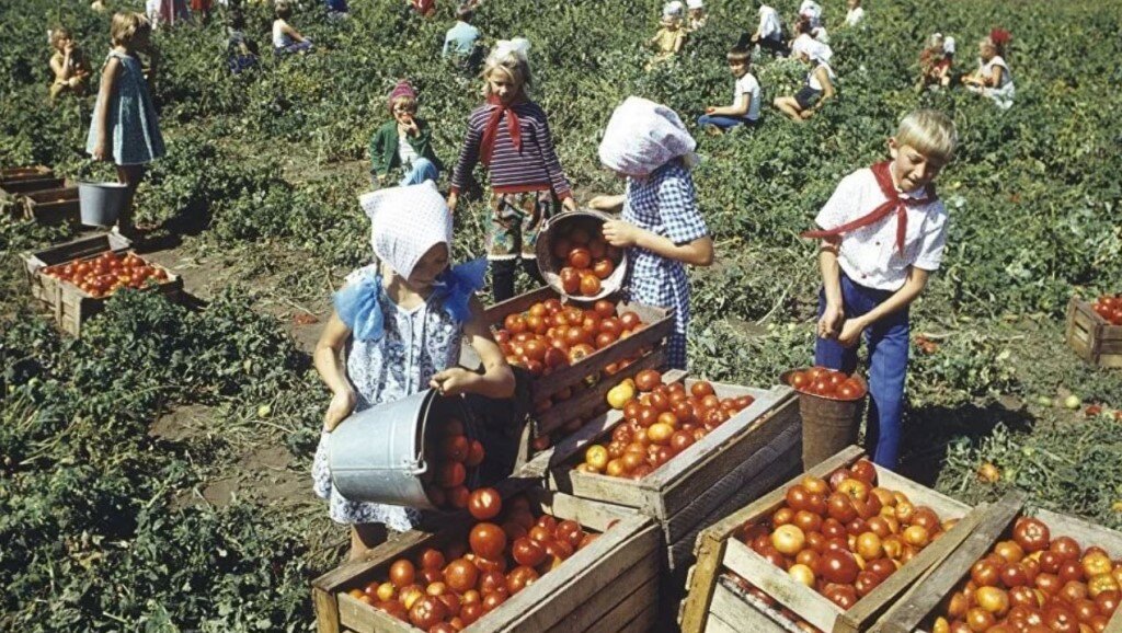 Фото с сайта ok.ru