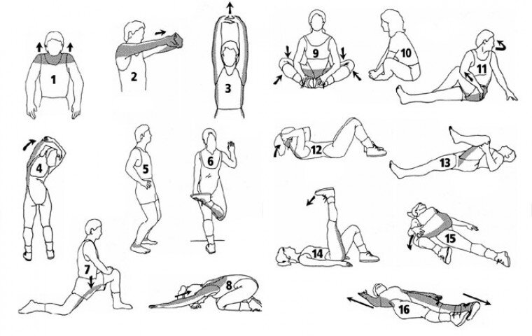 Тренировка долголетия из 6 простых упражнений.