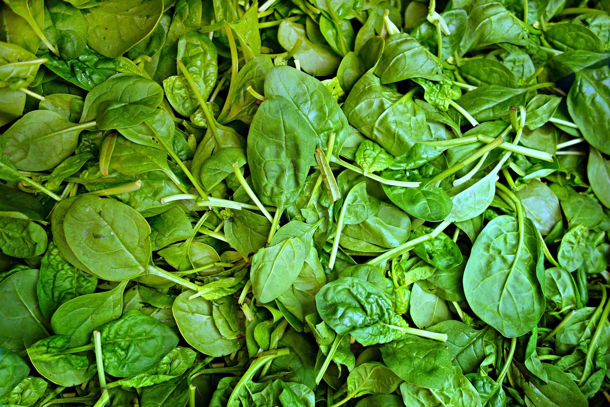https://pixabay.com/photos/spinach-vegetable-fresh-vegetable-1522283/