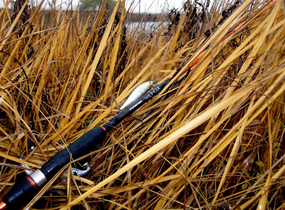 Золотые краски осени и мой рабочий комплект на этих двух рыбалках.