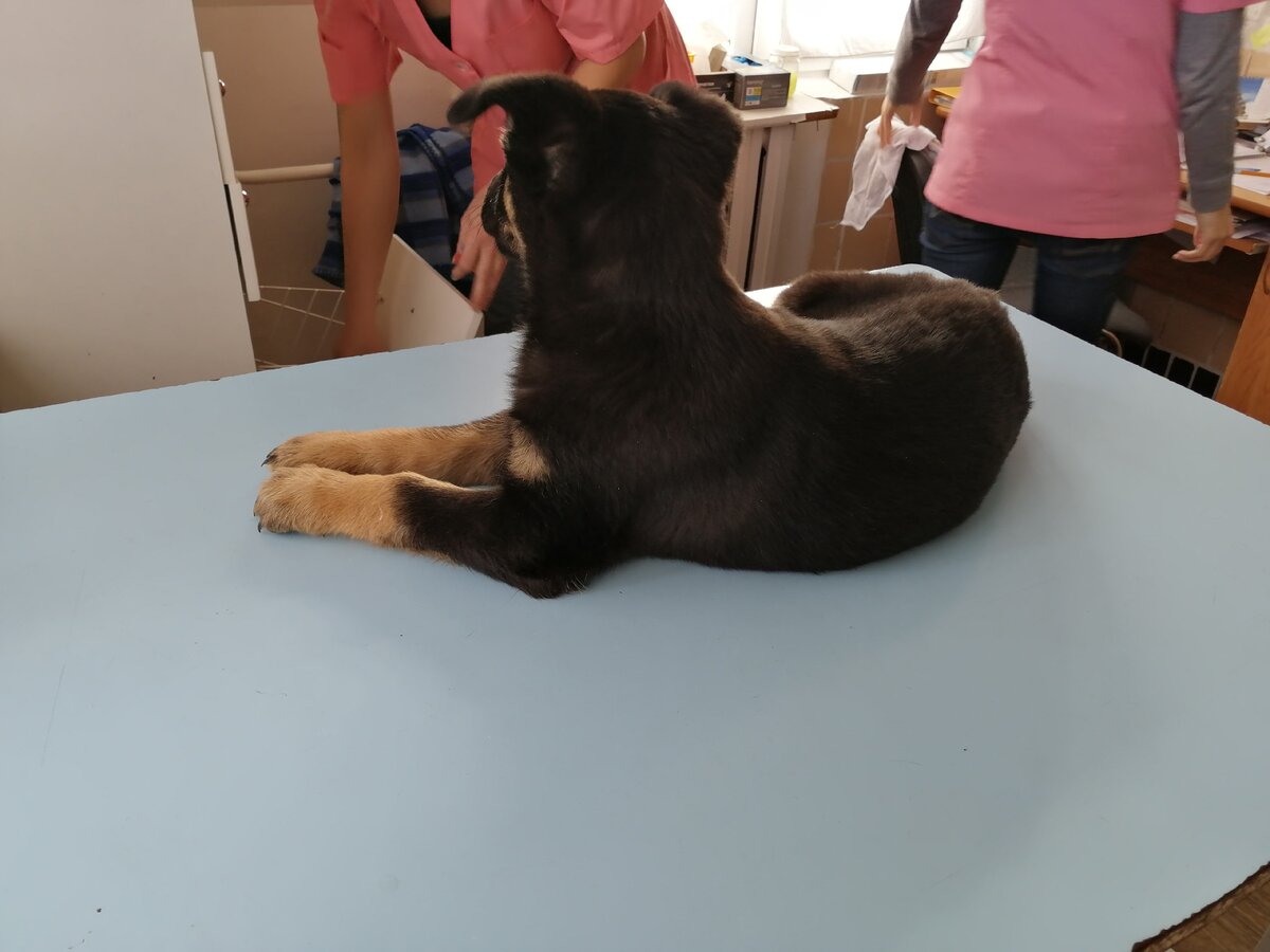 На приёме у врача