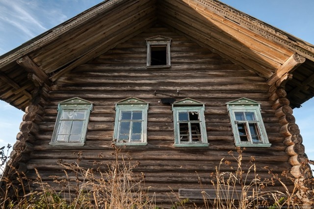 яндекс.картинки