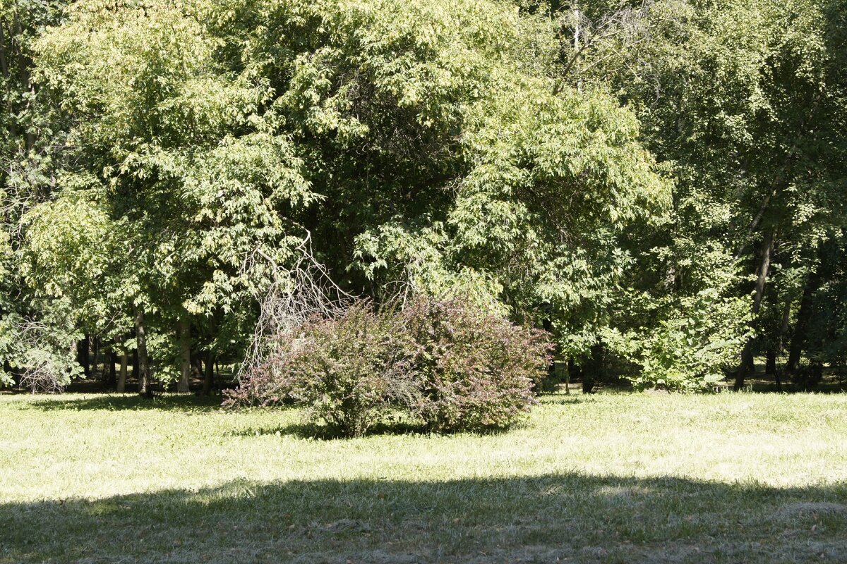 Фото автора.