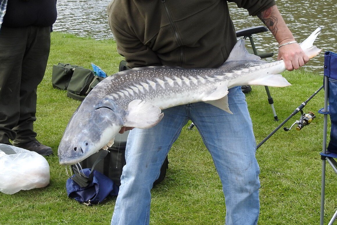 Источник: Ассоциация Лейбница 