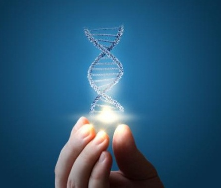 ДНК - не просто набор букв