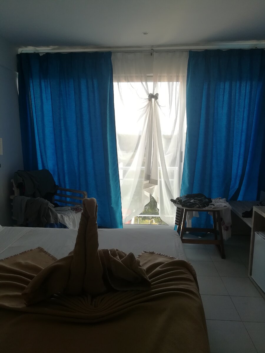 Кубинские лебеди