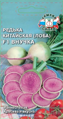 Редька Внучка, розовая