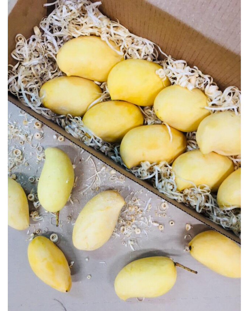 манго Вьетнам сорт Кео. Отличное соотношение цена-качество.