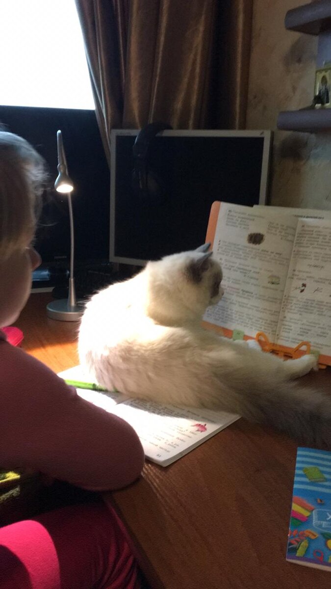 Читают все))