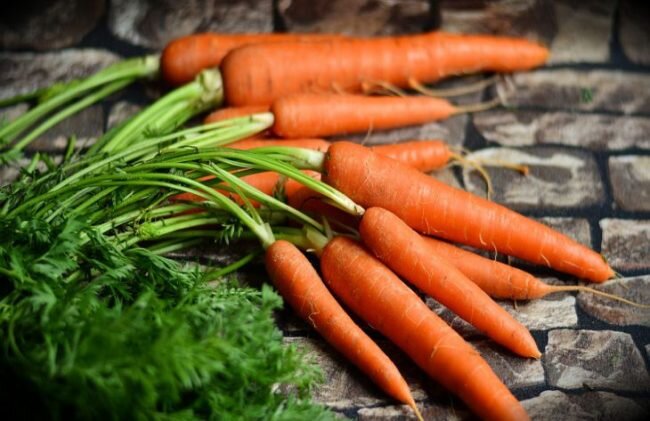 Схема посадки моркови на грядке
