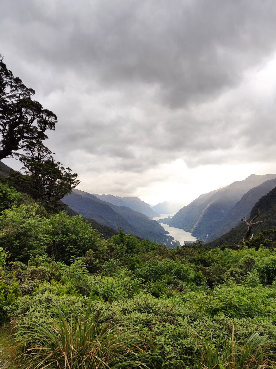 Doubtful sound, Новая Зеландия