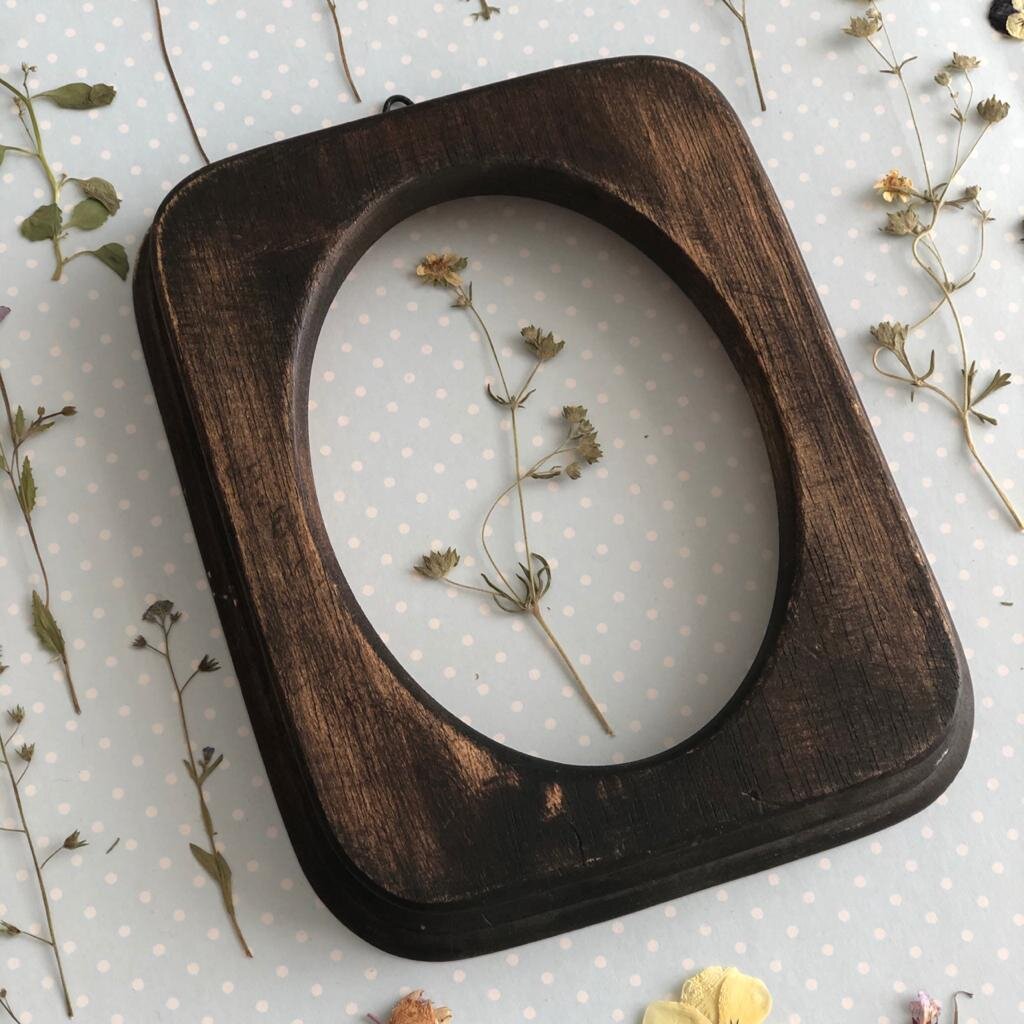 Засушенные цветы