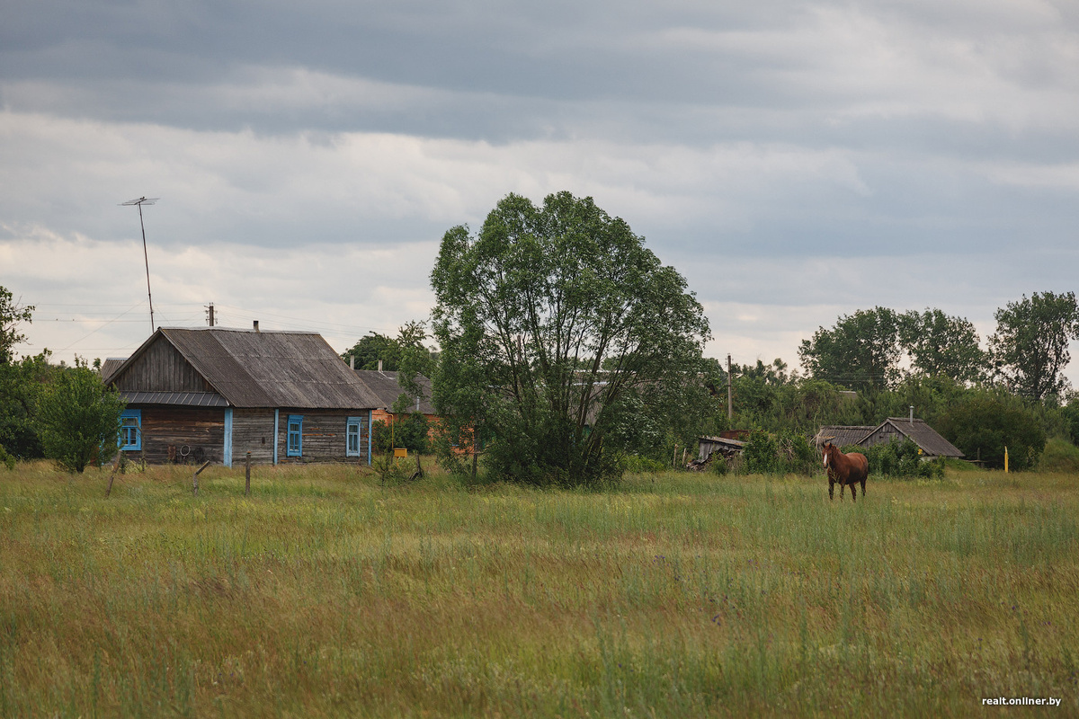 Беларусь 