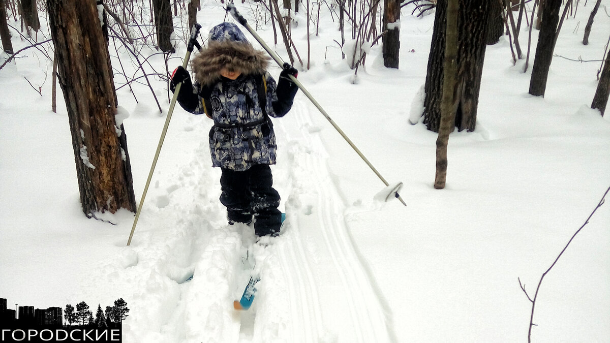 Первая зимняя вылазка в лес на лыжах! Палки, какие были...