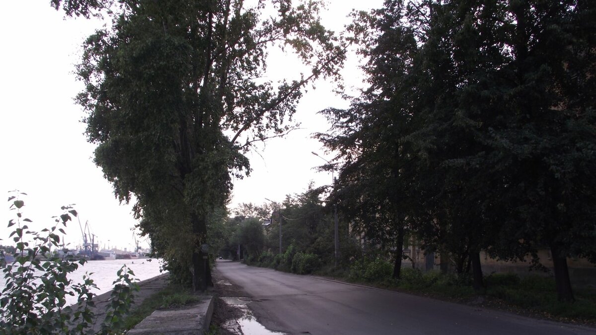 2011 год. Деревья уже большие. Источник: nord-ursus.livejournal.com.