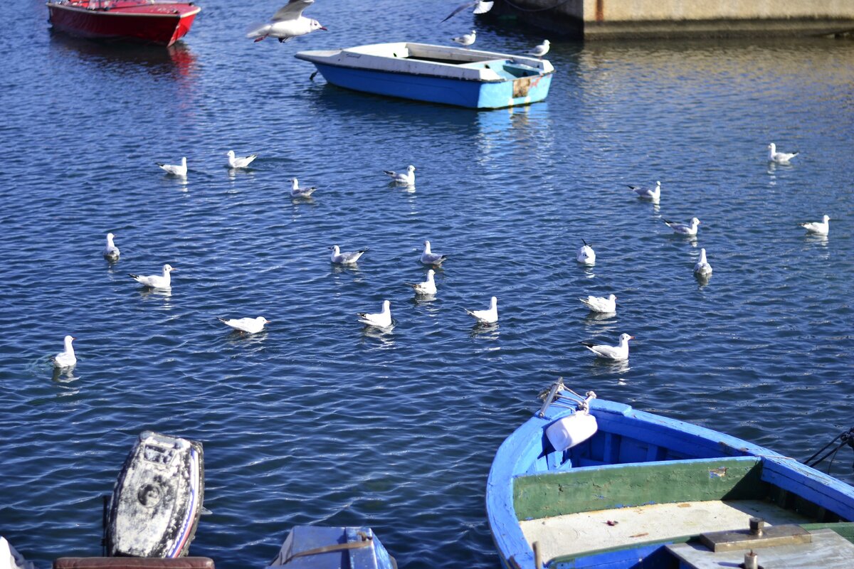 Италия все еще в локдауне. Новый декрет с 7 апреля, который коснется всех итальянских медработников