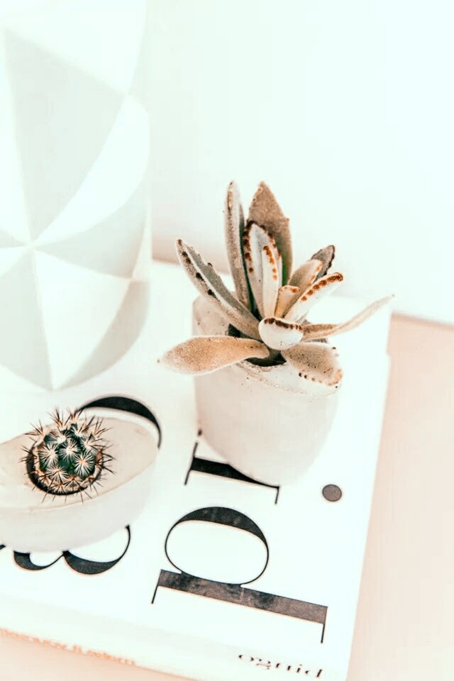 Горшки из переработанных материалов