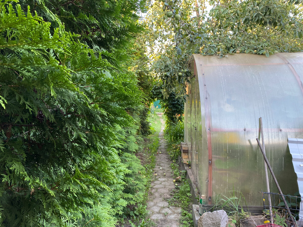 Дачный участок