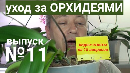 Орхидея, просыпайся! Доброе утро. Суббота. Фрагмент выпуска от 07.05.2022