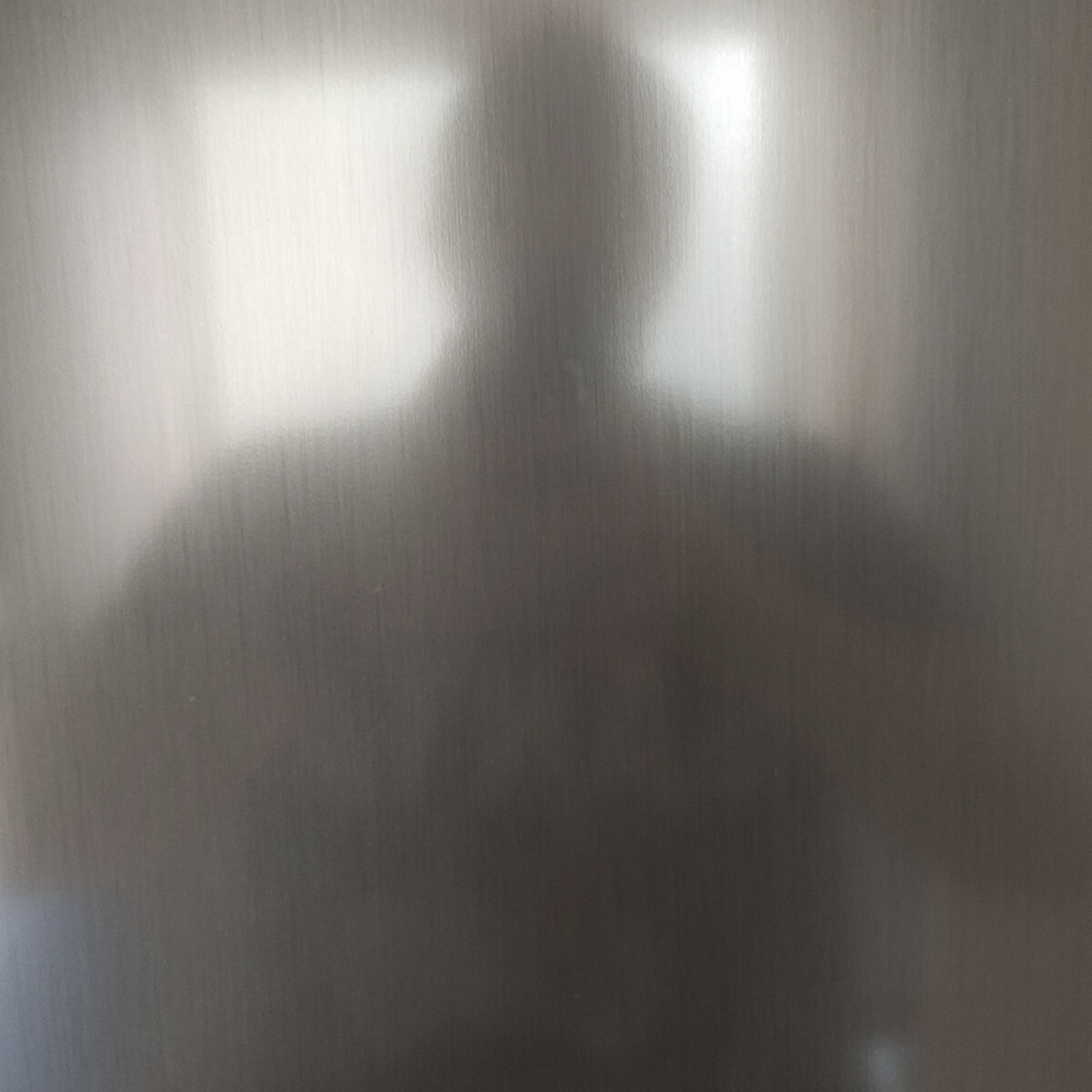 Останется лишь тень