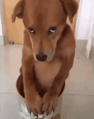 "Вот скажите нам, что с вами делать?!"