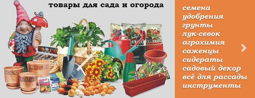 Как подготовить огород к зиме — что обязательно делать осенью. Важные моменты, чтобы весной все росло и цвело3