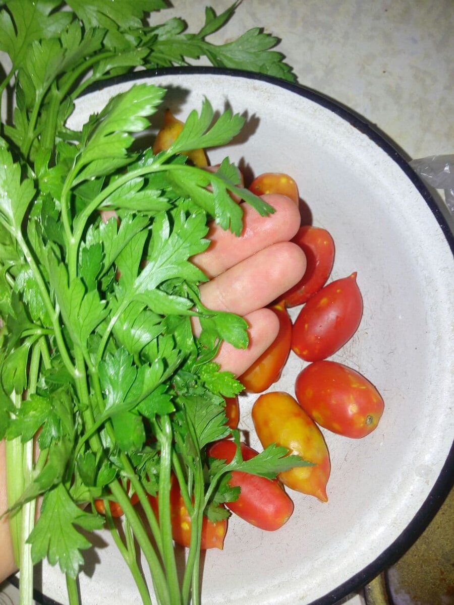 В петрушке хорошее соотношение магния калия и железа