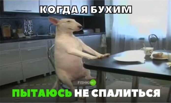 Взято из доступных источников