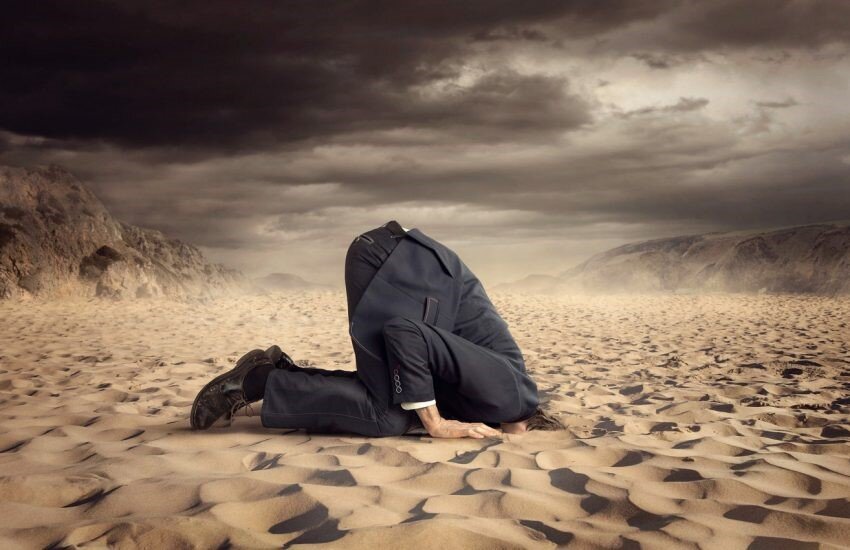 Яндекс. Картинки.