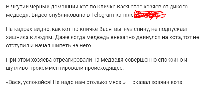 «Лохматая голова в щели забора» — создано в Шедевруме