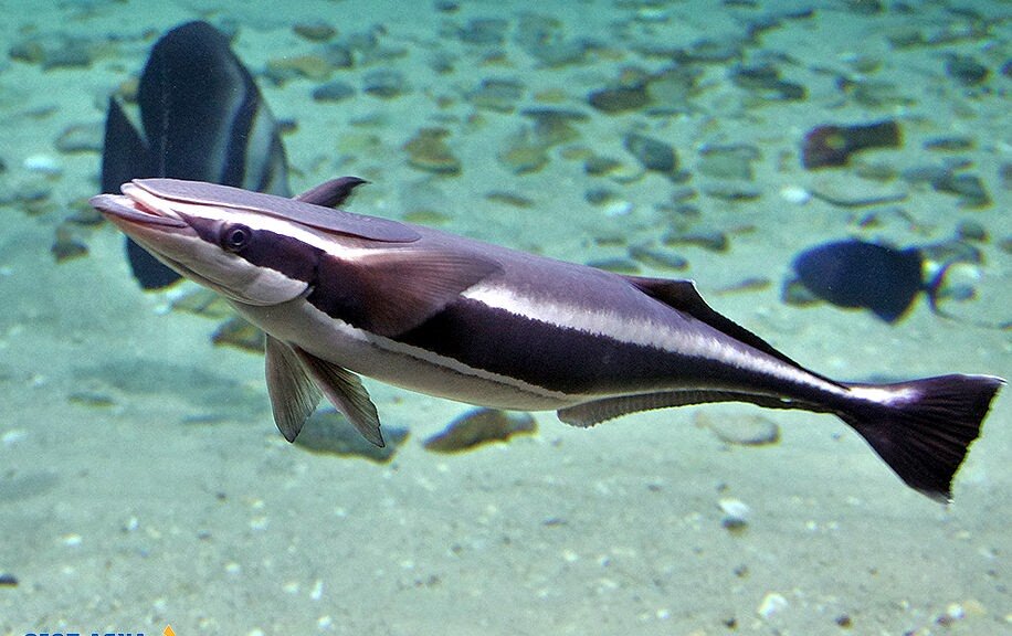 Вот я какая умная