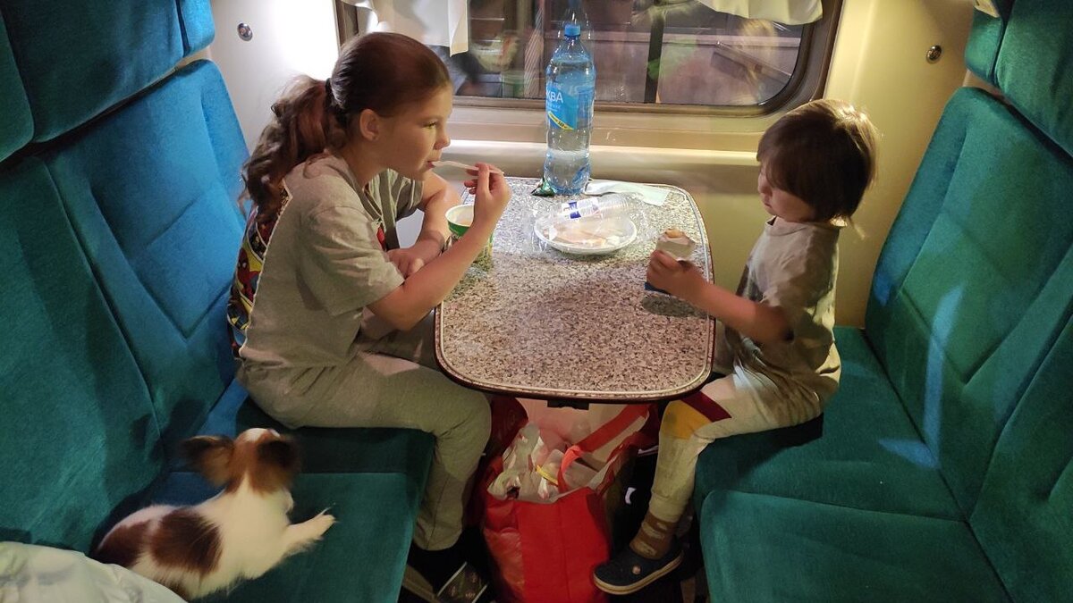 Дети с собакой в поезде