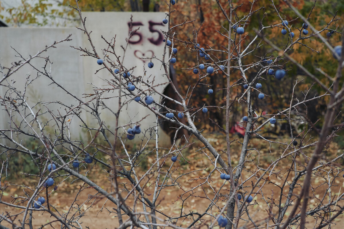 -1-2