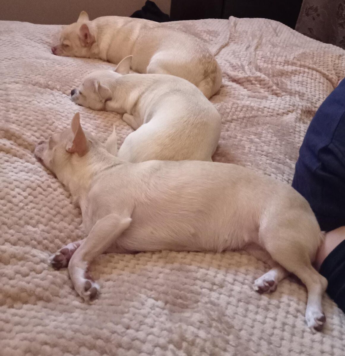 фото из личного архива