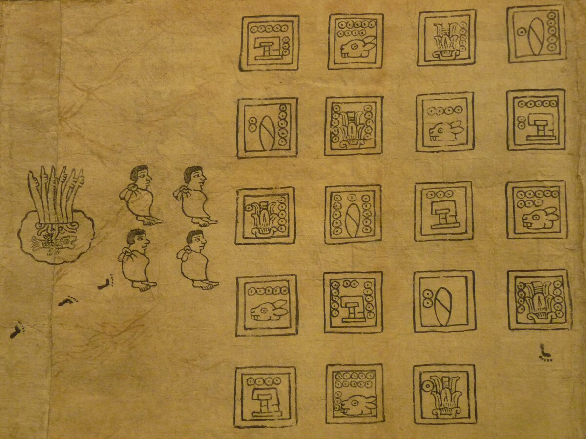 Седьмая сцена кодекса: пруд с рыбкой и 19 лет рыбалки