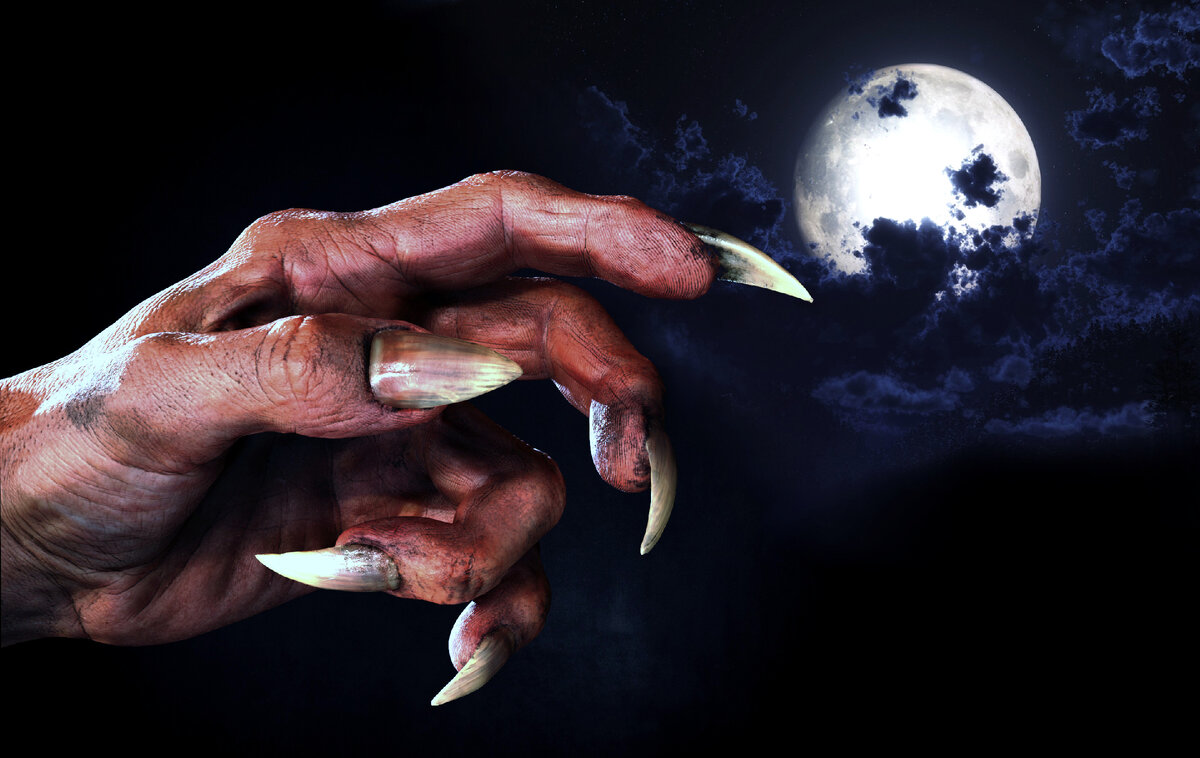 Кто то прячется в ночи.